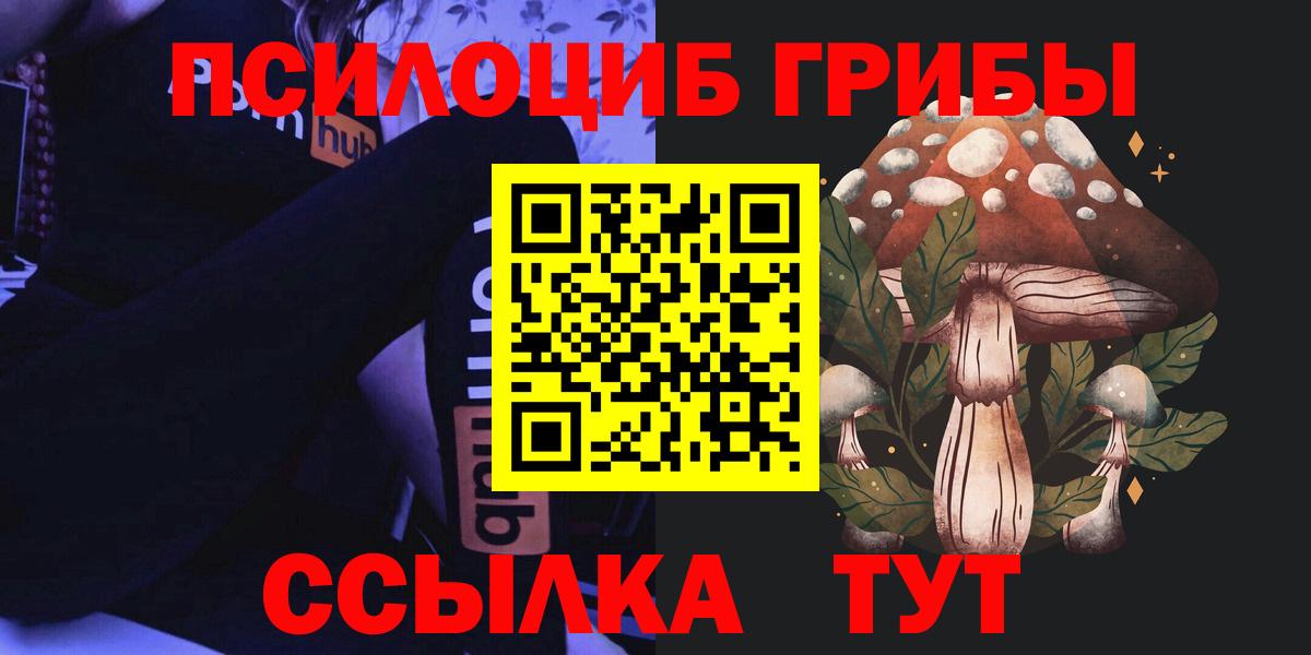 где купить   Вход с VPN  Ярославль  Псилоцибиновые грибы ЛСД  Галлюциногенные грибы MAGIC MUSHROOMS 